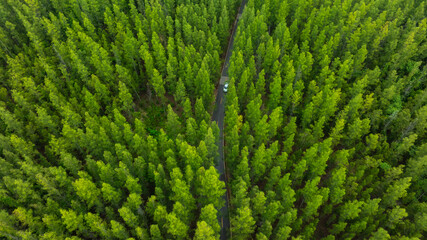 Aerial view of dark green forest road and white electric car Natural landscape and elevated roads...