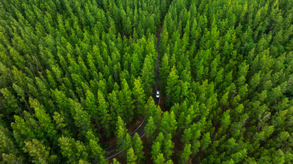 Aerial view of dark green forest road and white electric car Natural landscape and elevated roads...
