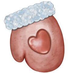 Winter holidays cozy decorations  illustration set.  holiday elements cute hand drawn decorations.