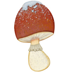 Winter holidays cozy decorations  illustration set.  holiday elements cute hand drawn decorations.