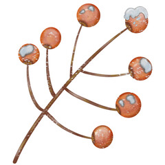 Winter holidays cozy decorations  illustration set.  holiday elements cute hand drawn decorations.