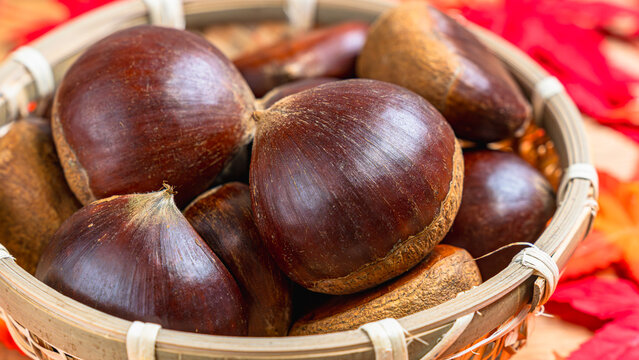 くりの実」の写真素材 | 15,918件の無料イラスト画像 | Adobe Stock