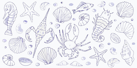 Collection of hand drawn marine life and shells in a whimsical sketch style