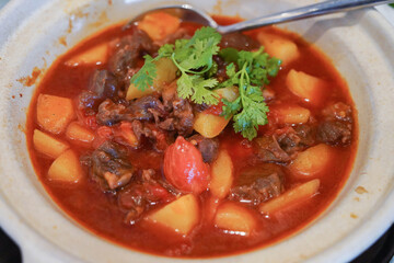 Beef Stew with potatoes and tomatoes in a big bowl