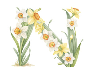 Botanical Alphabet N Watercolor Flower Letter vector illustration