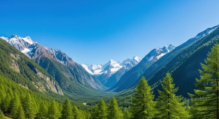 Fototapeta premium Mountainous valley view; snow-capped peaks, evergreen trees, and clear blue sky