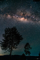 Naklejka premium A dramatic night sky ablaze with the Milky Way, framed by the silhouettes of two tall pine trees and distant mountain ranges.
