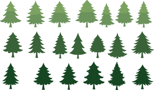 Evergreen tree collection, stylized pine illustration, green forest design, seasonal nature art, decorative foliage, botanical silhouette, winter woodland, environmental symbol