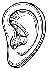 Naklejka premium Clean line art drawing depicting human ear anatomy for hearing and sensory themes