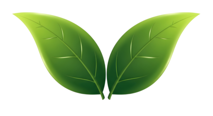 Green leaves vector symbol representing nature, ecology, organic, and health concept design isolated PNG with Transparent Background