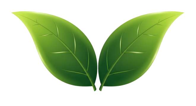Green leaves vector symbol representing nature, ecology, organic, and health concept design isolated PNG with Transparent Background