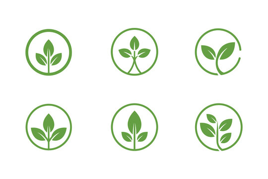 Collection of six oval logos featuring green leaf plant designs.eps