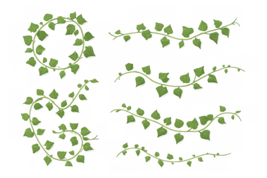 Green ivy vines growing and trailing, creating decorative natural borders and frames on transparent background
