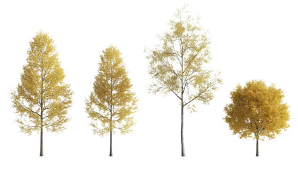Four deciduous trees with yellow leaves isolated on transparent background