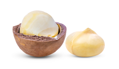 Macadamia nuts isolated on transparent png ( image from camera )