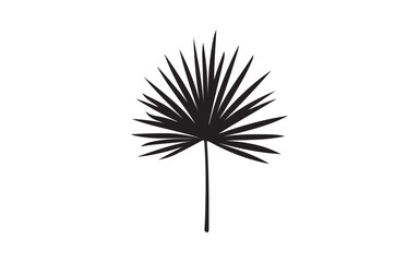 Fototapeta premium dandelion isolated on white background