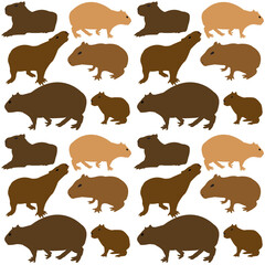 Capybara pattern on white background