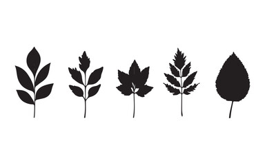 set of autumn leaves