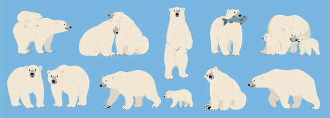 Cartoon polar bears. Funny north fauna characters in different poses, big arctic white animals, cubs with parents, different actions and poses, wildlife mammal, tidy vector isolated set