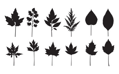 set of autumn leaves