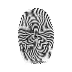Detailed black and white fingerprint graphic, unique biometric identifier, human skin texture pattern illustration