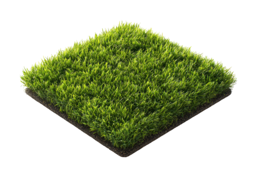 Square of lush, green grass; a small, neat patch