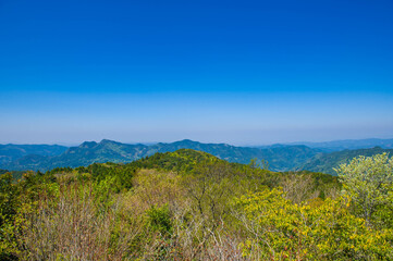 カラ迫岳の山頂