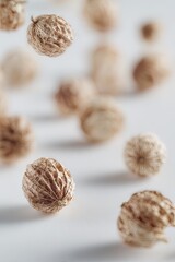 Floating Coriander Seeds On White Background