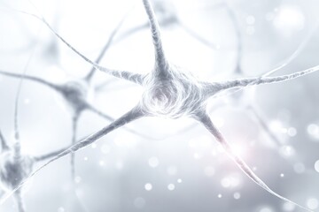 Detailed Neuron Structure Visualisation