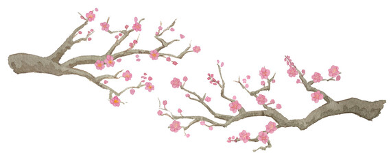 梅の花と枝木セットJapanese Watercolor Illustration