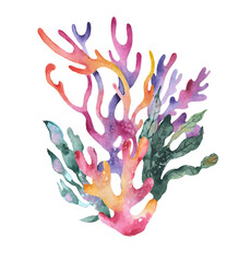 Coral and seaweed watercolor set