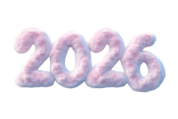 Fluffy Pink and White 2026 New Year Text with Plush-like Appearance