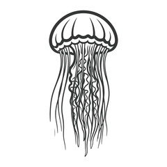 Line art illustration of a jellyfish