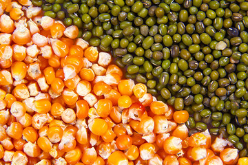 Diagonal organized placement of kernel corn and mung bean. the concept of superfoods, healthy foods, foods that are rich in nutrients and rich in vitamins, minerals, fiber, and antioxidants.