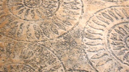 Gray Fossil Spiral Imprint Texture Background