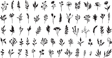 Black and white floral vector pack: leaves, flowers, and botanical elements eps silhouette