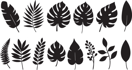 Tropical leaf vector set: monstera, palm, and fern leaf silhouettes eps