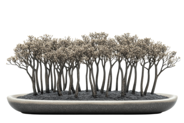 Minimal black and white forest silhouette art
