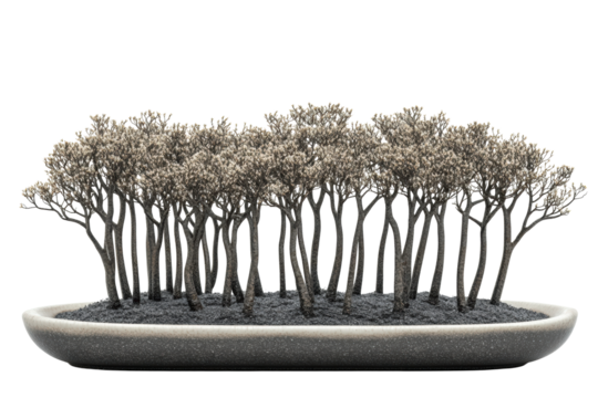 Minimal black and white forest silhouette art
