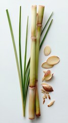 Fresh Lemongrass And Ginger Ingredients