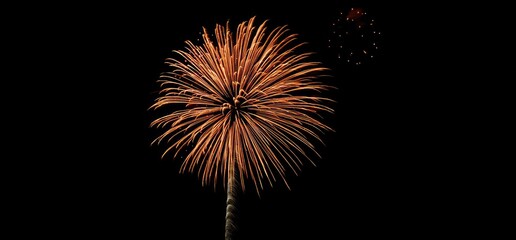 Fototapeta premium A vibrant orange firework exploding with numerous streaks against a deep black night sky