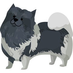 Fluffy grey and white dog standing on a transparent background with a smiling face