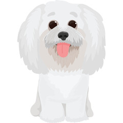 Fluffy White Bichon Frise Dog with Pink Tongue and Dark Eyes Sitting on a Transparent Background Looking Forward with a Happy Expression