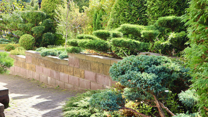 Sculpted green plants creating a beautiful landscape design with various topiary trees in a decorative autumn garden