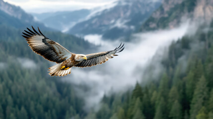 Majestic eagle soaring above misty valley, showcasing nature beauty and freedom