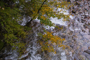 山梨県の西沢渓谷の紅葉