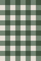 Green and white check pattern seamless vector.Gingham check pattern classic scottish fabric texture subtle weave geometric background illustration.Design for clothing,blanket,tablecloth,wrap,decorate.