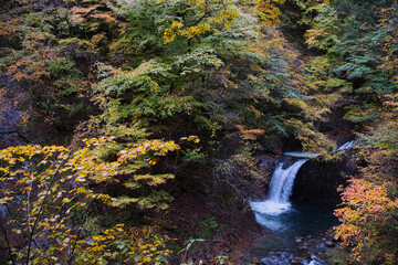 山梨県の西沢渓谷の紅葉