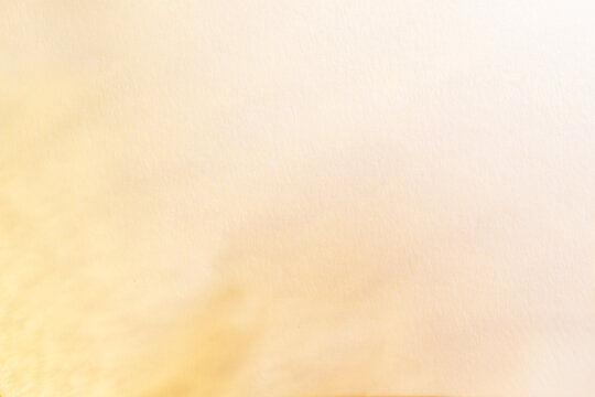 A soft, pastel gradient background blending from a creamy off-white at the top to a warm beige at the bottom. Elegant backdrop for design projects and websites.