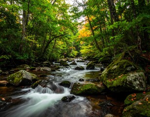 Obraz premium Scenic shot of a flowing stream through a vibrant autumnal forest
